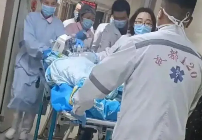 探访女童被大型犬撕咬事件，涉事黑狗已找到，小区保安袖手旁观