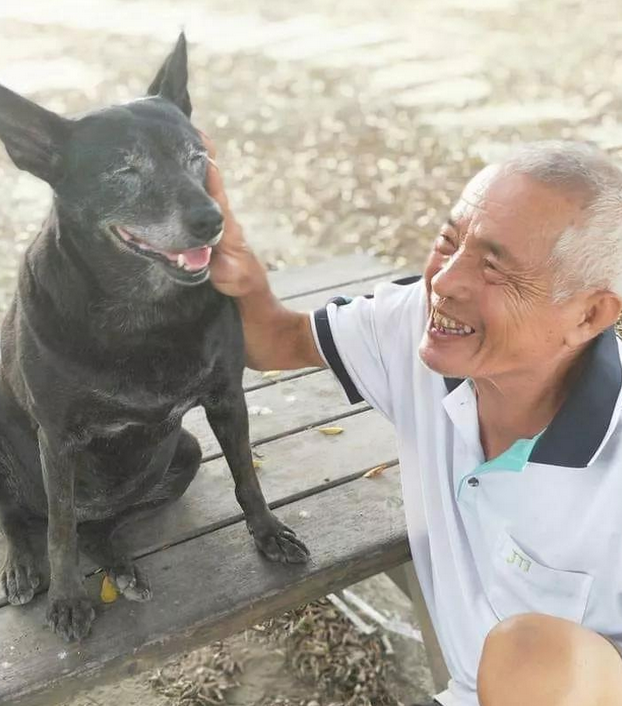 一条狗如何活了25年?80岁祖父:请给我跟它多拍多张照片