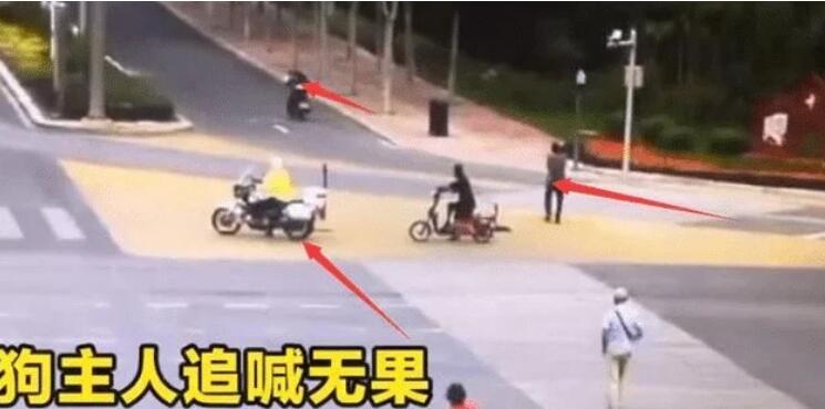 宠物狗不栓绳上马路,摩托车主碾压后扬长而去爱找谁赔找谁赔