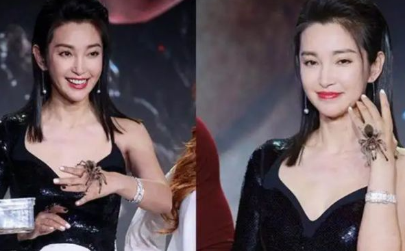 明星宠物大赏:赵丽颖收养流浪狗,程潇玩蜥蜴,李冰冰亲吻蜘蛛