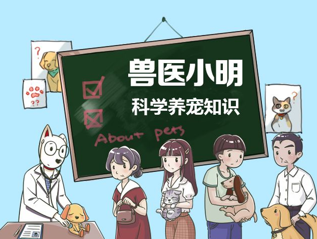 盆友养了一只金毛狗狗,拉粑粑时总盯着他看:因为我没在外边有其他狗啊