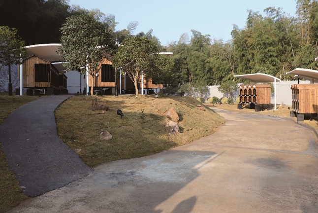 邀请市民领养、监督 龙湾推出犬只收容所固定“开放日”