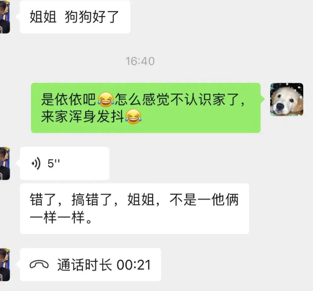宠物店接狗回家,可它浑身发抖还不认识家了,原来是...“救命,汪被拐了!”