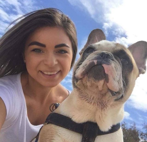 心爱斗牛犬丢失，土豪主人竟用这种方法寻狗！声称不找到绝不罢休