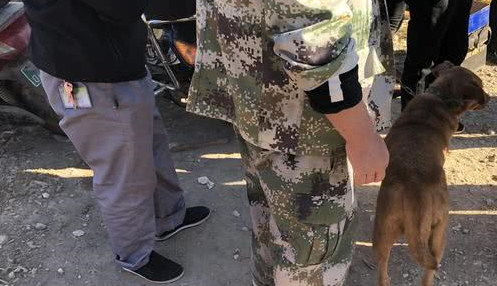 老人卖掉培养多年的爱犬,出价九百无人问津