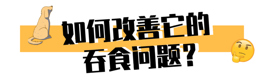 狗子吃东西狼吞虎咽?小心酿成大祸!