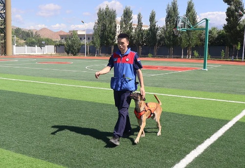 “蓝汪汪”养成计划丨搜救犬“麒麟”前来报到!