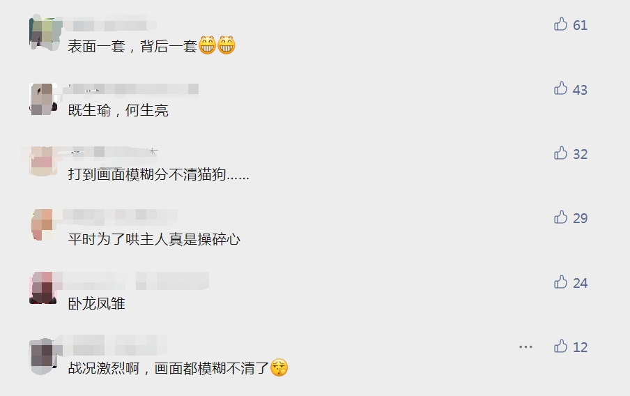网友刚出门,家里的狗和猫立马打起来:不演了!!