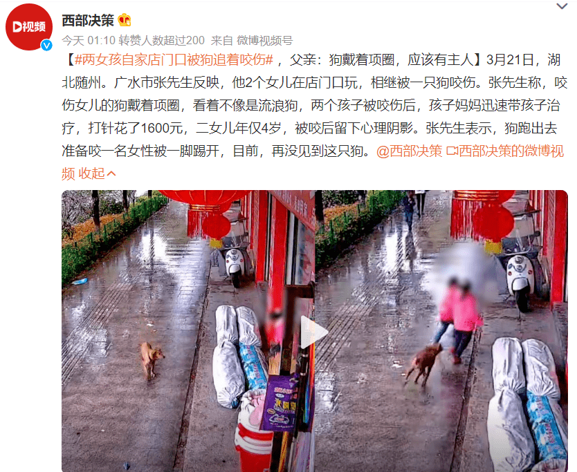 年轻妈妈被不牵狗绳的男主人殴打至骨折!