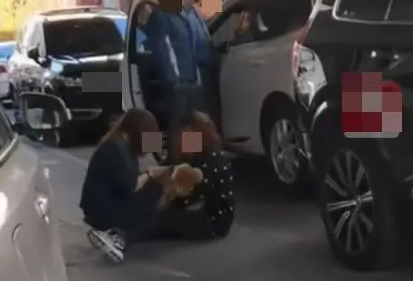 遛狗不拴绳致狗被车压死,女子狂扇自己脸部坐地大哭