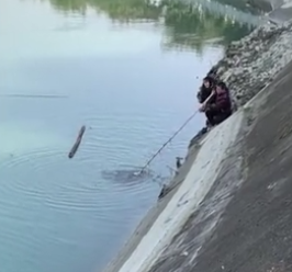 小狗掉入冰冷河中，主人撕心裂肺的呐喊着，而有人却这样讽刺她…