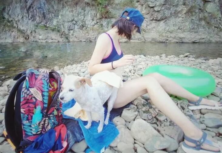 田园犬的逆袭,周游世界,高级餐厅吃饭,我第一次羡慕一只狗
