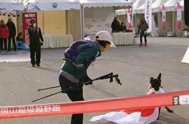 四川越野赛上日本姑娘拿出国旗想披身上,中华田园犬一个举动让人叫好!