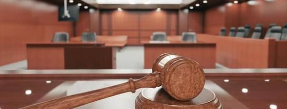 流浪狗咬伤人长期投喂者被判担责 网友争执是否过分:善良有错?