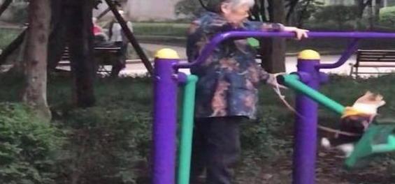 奶奶为狗子买了一架飞机,狗:这飞机不错,但怎么总在原地飞呢?