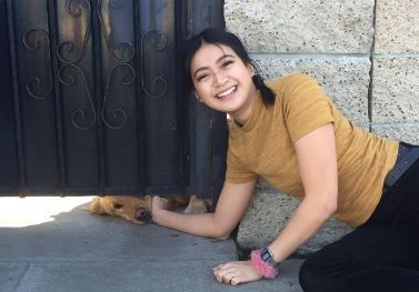 为了讨摸摸 黄金猎犬每天塞门缝等放学