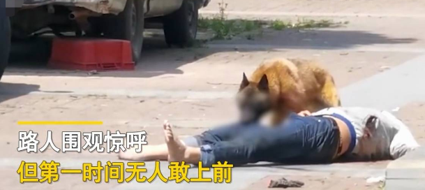 晚上遛弯男子街边逗狗 恶狗突然发疯男子被“咬惨”