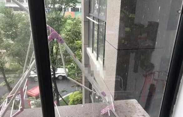 狗狗从高楼掉落,养狗狗要注意这几个问题