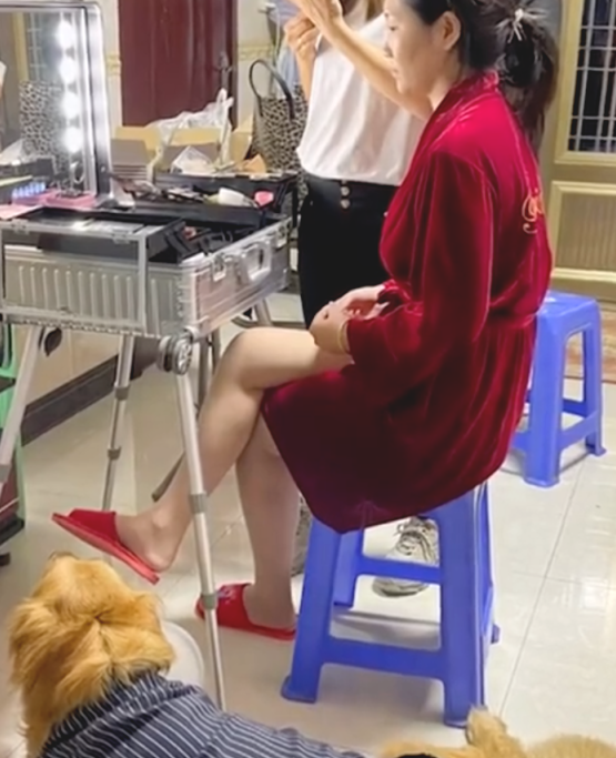 破甲了!辽宁一女子嫁人时,迎亲一瞬间祖父捂着守候8年的狗狗双眼