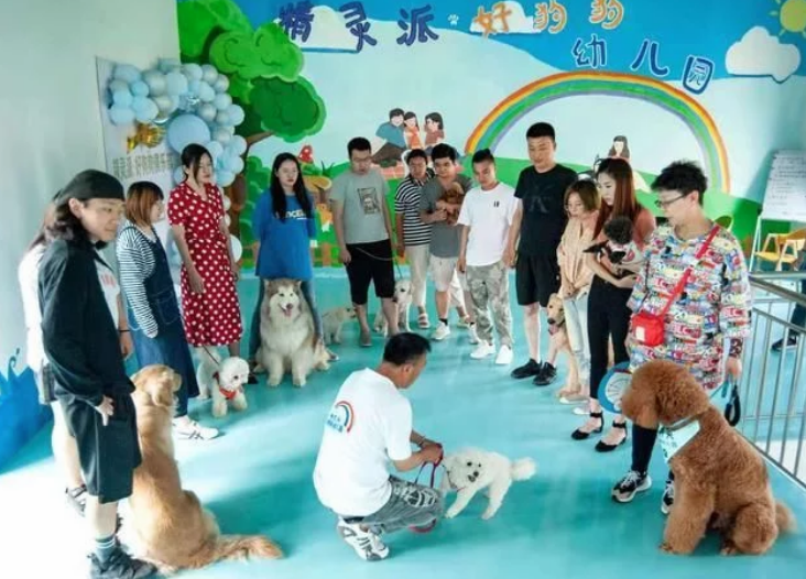 济南诞生首家文明养犬宠物培训学校