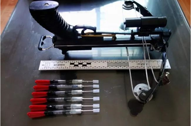 偷狗用的毒针有多毒?哥哥偷狗过程中毒针误伤弟弟,弟弟中毒而亡