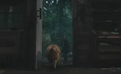 一条狗让基努疯狂,一头猪让凯奇悲伤