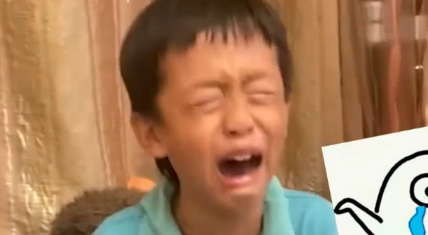 云南一男孩刚养的仓鼠被狗咬死,当场崩溃大哭,一个细节让人心疼