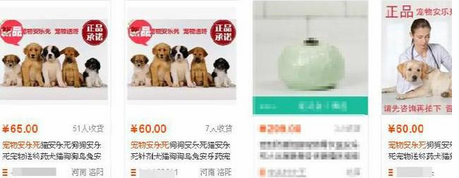 狗安乐死后悔了 | 淘宝卖劣质“宠物安乐死”?狗狗难得善终,主人后悔不已