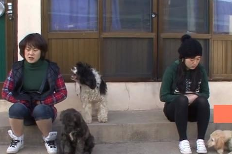 狗狗因为争宠经常离家出走,主人从村头追到村尾都累趴了!