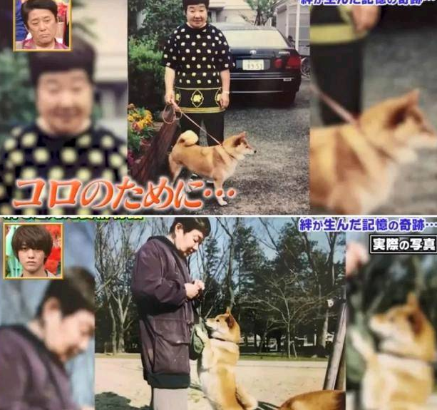狗狗和主人都换上了老年痴呆 多年后的重逢 还会认得彼此吗?