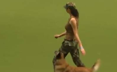 一只军犬表演走军步,下一秒搞笑的一幕发生,走着走着就偏了!