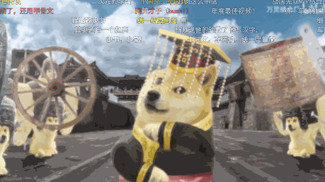 不管你信不信,这只柴犬在B站就是秦始皇