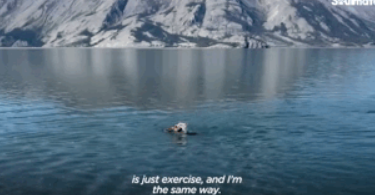 原来狗子也爱冒险，狗子刚到家时胆小如鼠，没多久就开始...