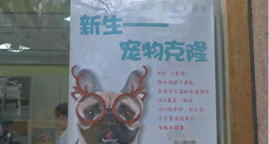 宠物狗可“永生”了?!花38万元帮狗狗“复活”,你愿意吗?