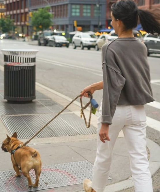 狗主人破口大骂:“我每日都遛猫遛狗,为何狗狗還是撕家?