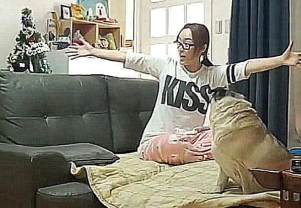 女子养了只大狗,本以为没问题,几个月后却有些遭不住