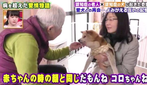 狗狗和主人都换上了老年痴呆 多年后的重逢 还会认得彼此吗?