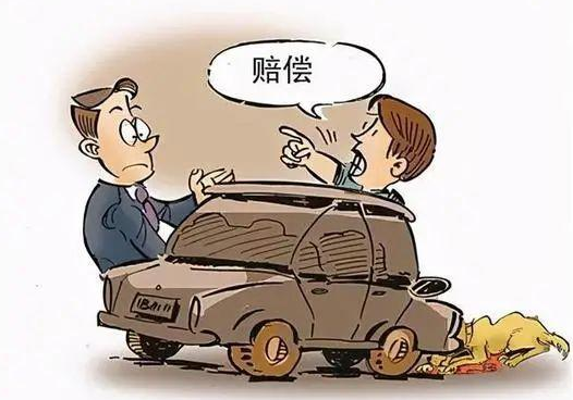遛狗不拴绳,昆明一宠物狗被撞进汽车保险杠!派出所:狗主人全责并修车