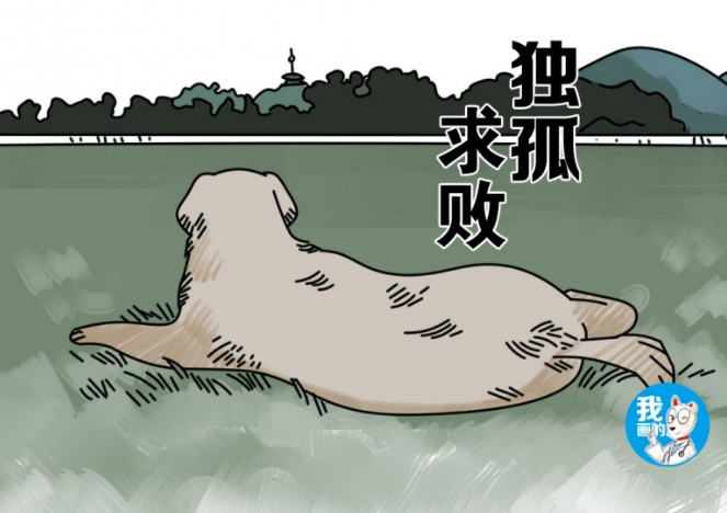 巡查犬发觉一个小孩子在抽泣,公安民警掌握后禁不住赞美:也太厉害了吧