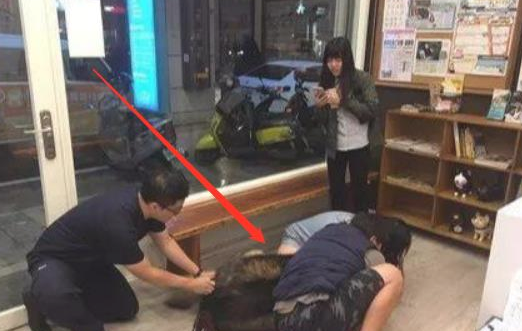 高加索犬注射不配合,2个壮男按着它,打过后狗儿急得冲大夫直叫