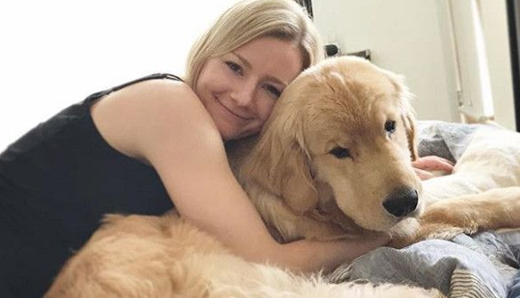黄金猎犬为享用冰块 不顾形像把鼻塞杯子里