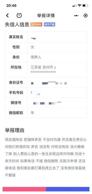 800元的柴犬、500元的布偶猫,我来到了宠物们的“人间炼狱”