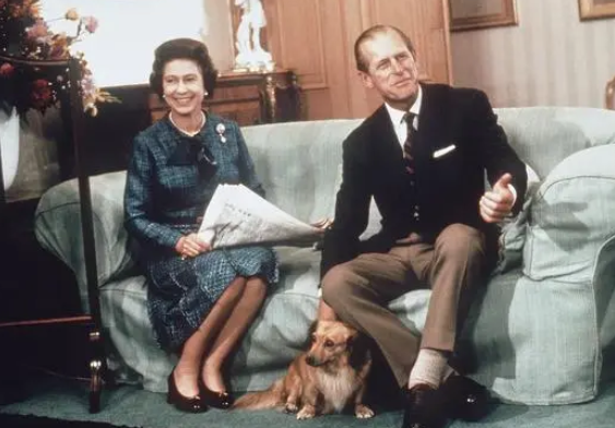 英国女王与她的柯基们：狗陪伴她走完人生旅程