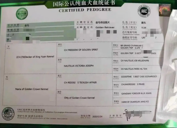 救命呀！我家狗子是大禽兽！它…它竟然睡了它亲妈…...