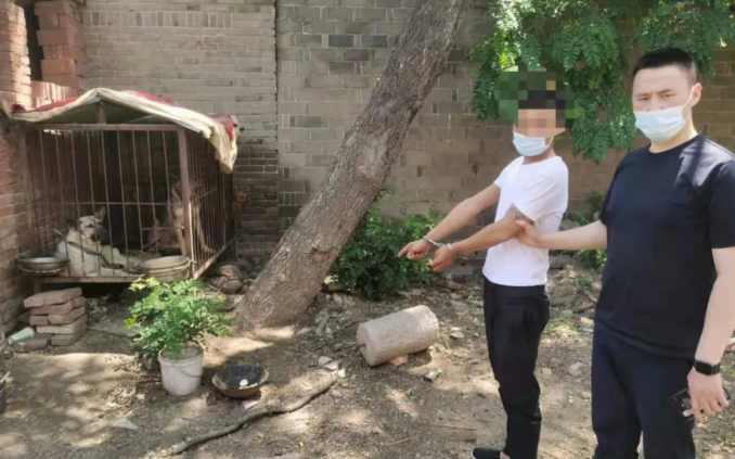 哥俩开套牌车偷狗 三年作案数十起获利数万元