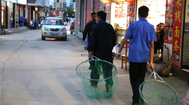 在丽江,再不文明养狗,严管重罚