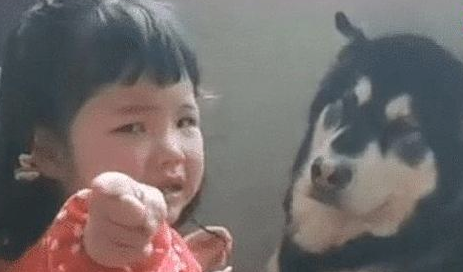 小主人被揍,小主人找狗狗帮助,狗狗看过女主角一眼表明:束手无策