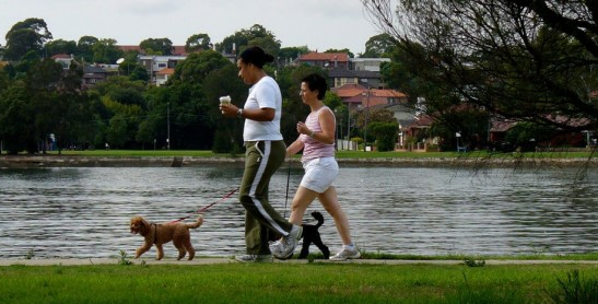 狗咬人几千万赔得起？女员工因遛犬纠纷辱骂路人