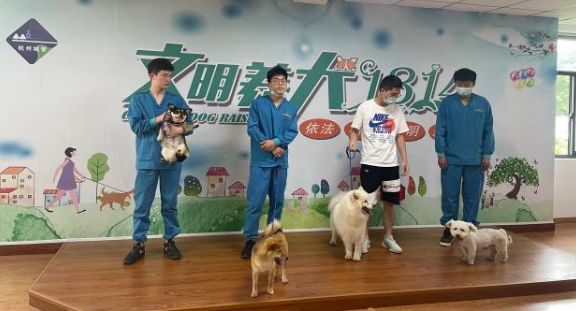 免费领养狗狗,报名申请就可以!今天,柯基、贵宾等15只小可爱已被领走