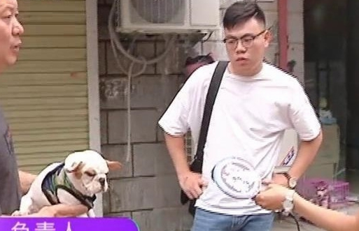 男子买了条法国斗牛犬,回家一看傻了眼,老板:你打电话报警吧